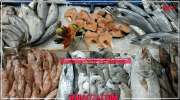 لهذة الأسباب إرتفاع جديد تشهدة أسعار الأسماك بالمملكة بنسبة تصل إلي 30% بعد شهر رمضان مباشرةً